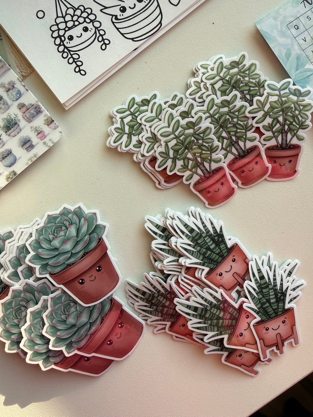May Edition 🪴 Succulent Serenity