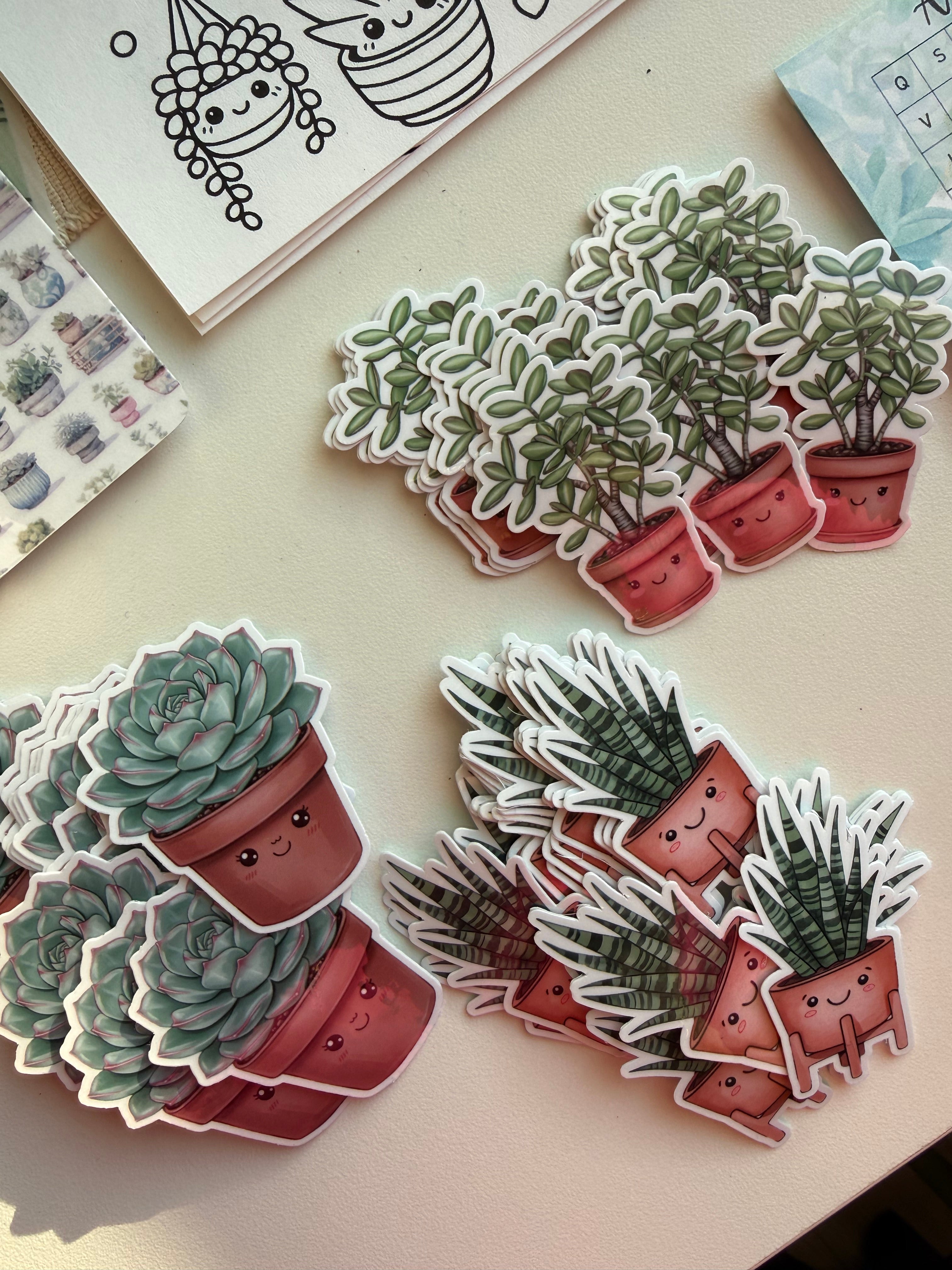 May Edition 🪴 Succulent Serenity