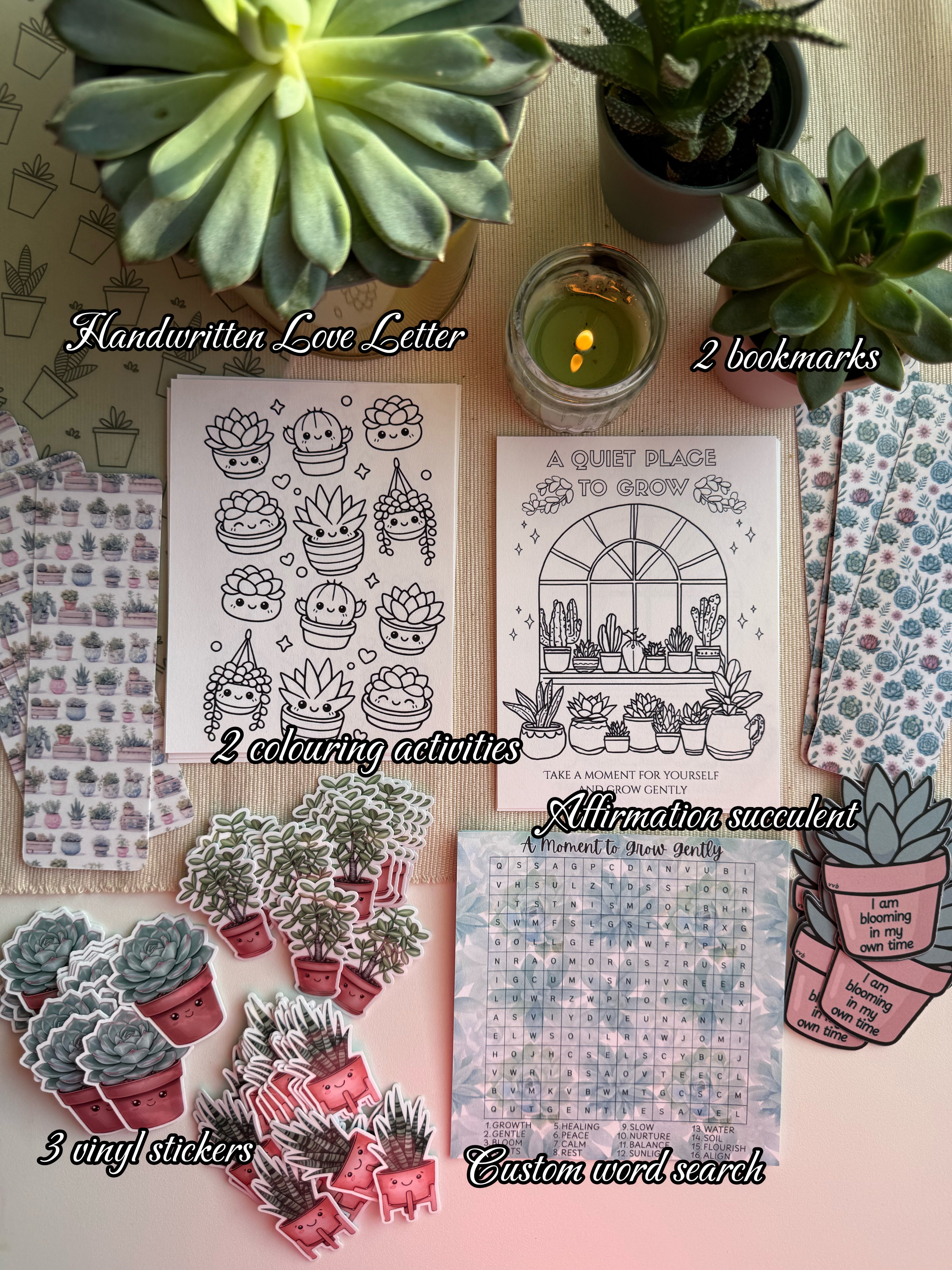 May Edition 🪴 Succulent Serenity